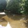 Ev_Kinderhaus Pirna Garten 3 Flut 2013